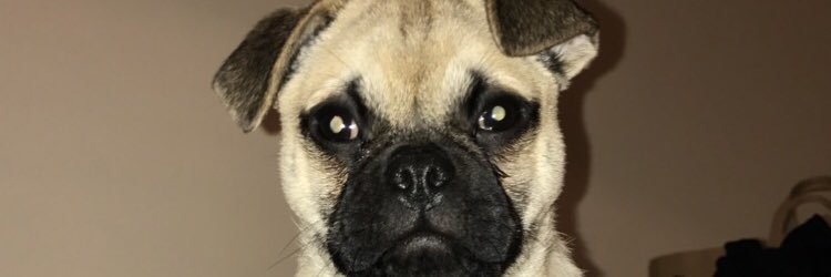 LordDylanC's profile banner image