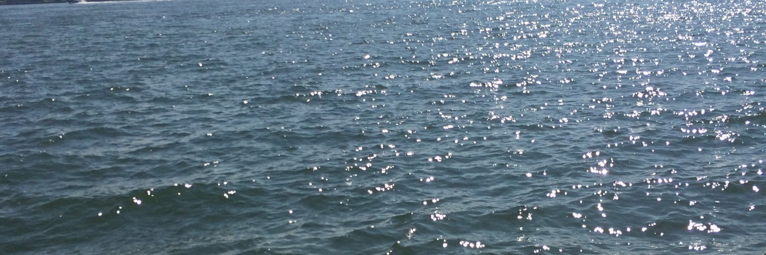 danholmes_'s profile banner image