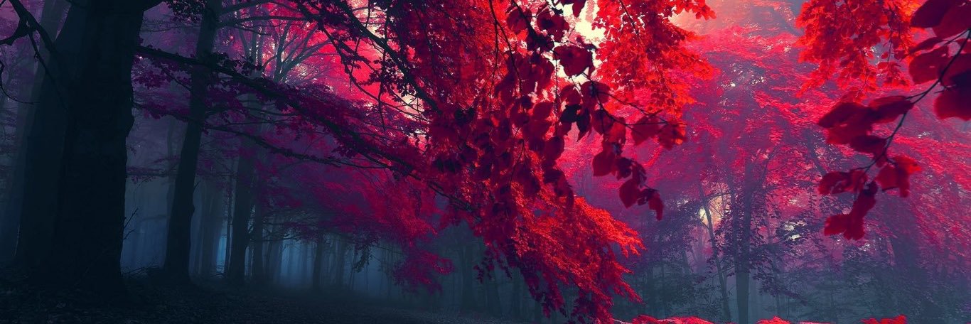 gingerlily35's profile banner image
