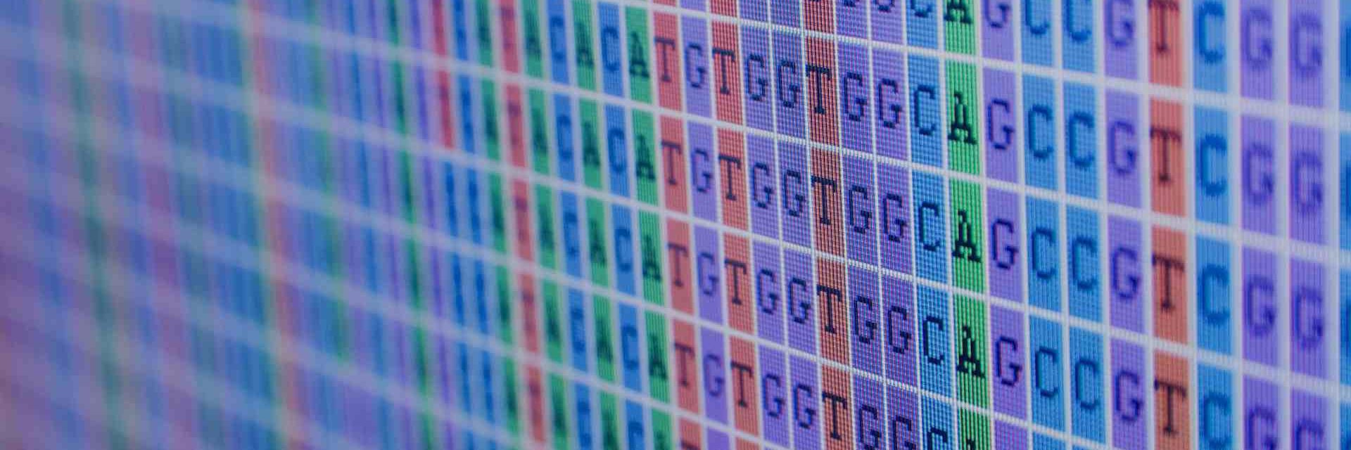 🧬Sacha schutz🧬 banner