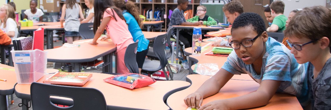 Meteor Education banner