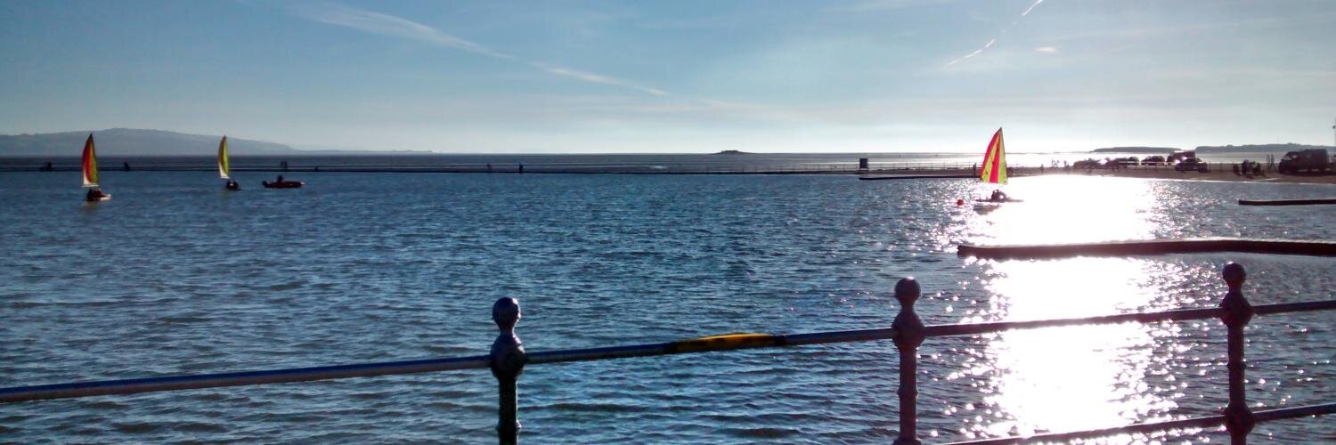 Dave Collister banner