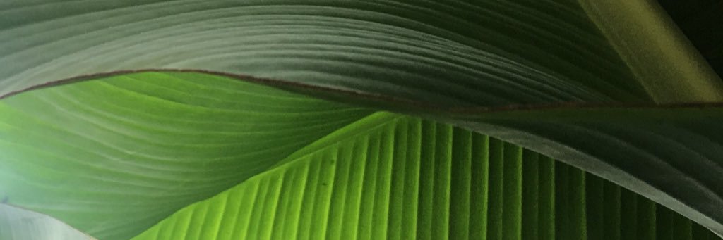 Zoe_Katherine's profile banner image