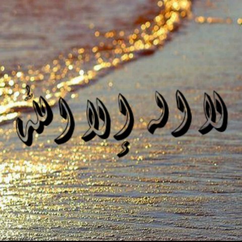 asdf5566306's profile banner image