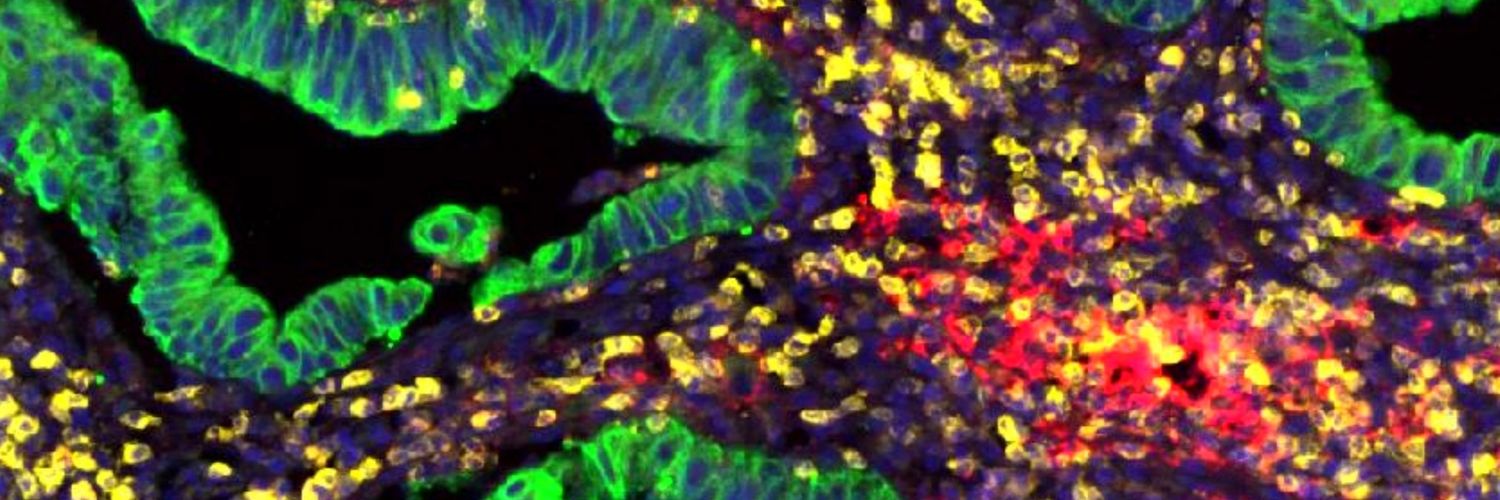 Stephen G Maher banner