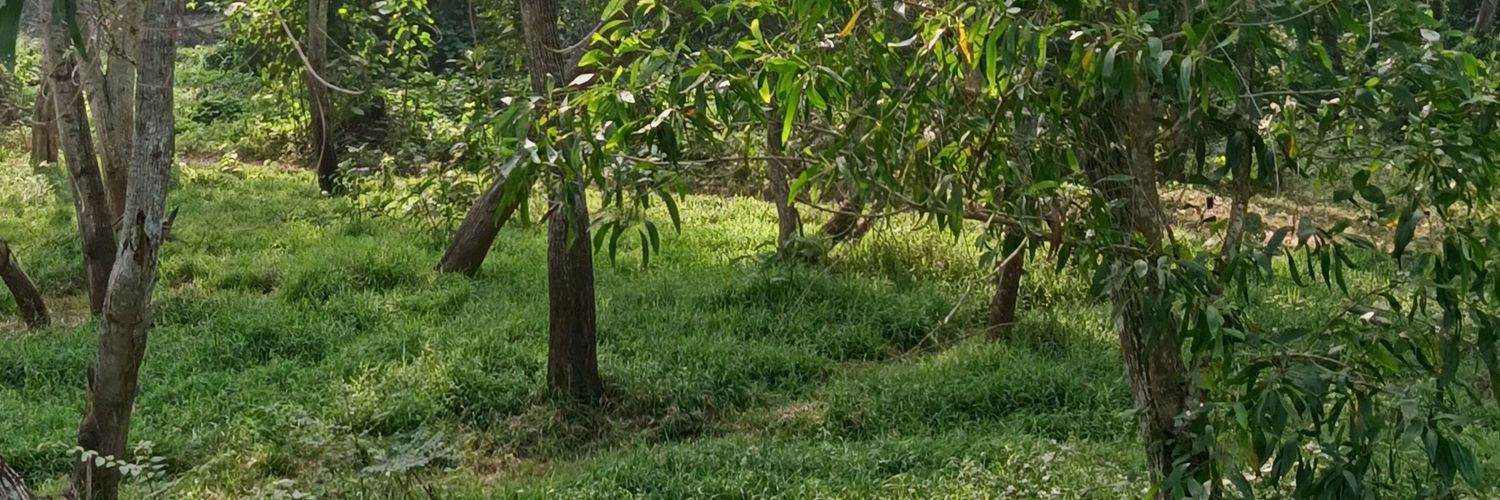 Deep_Jith's profile banner image