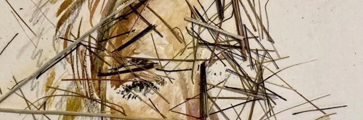 Hboz__'s profile banner image