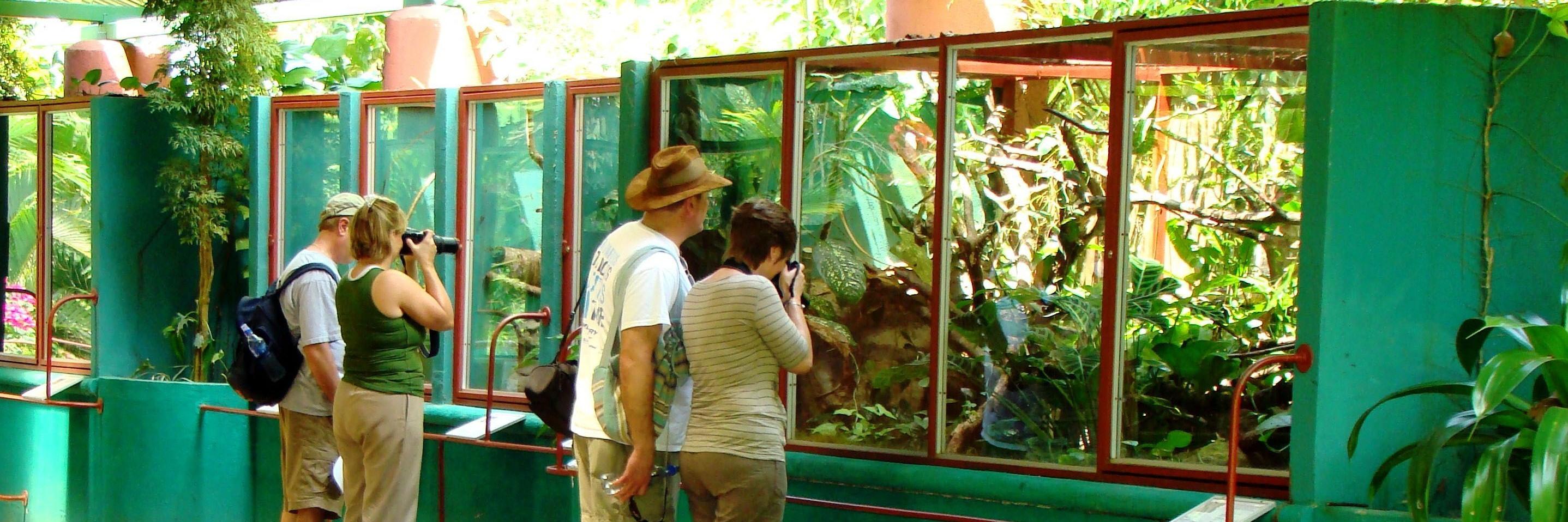Reptilandia's profile banner image