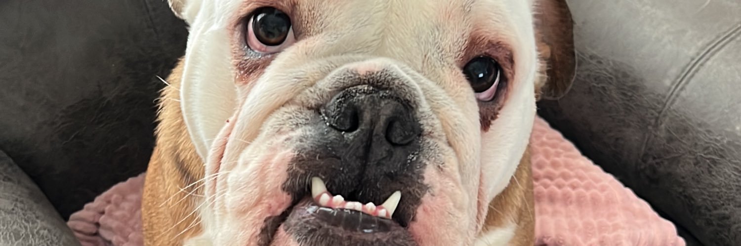 Unique_N_Random's profile banner image