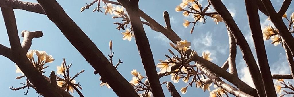 Minpune's profile banner image