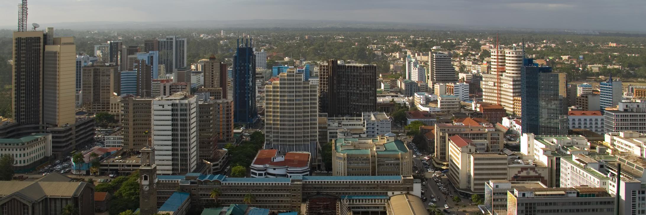 Millie Muigai banner