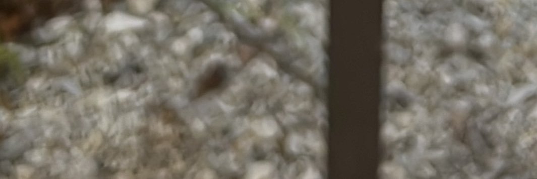 RagingSoonUzi's profile banner image
