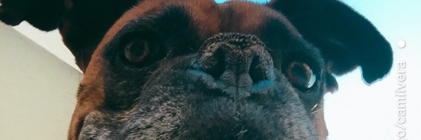 camivera85's profile banner image