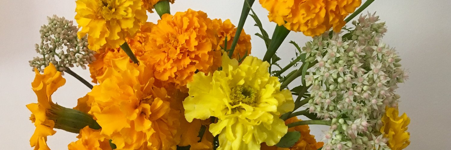 Anna Lena @aproflection.bsky.social banner