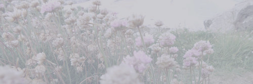 MlSANNETHROPE's profile banner image