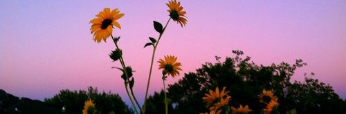 Breanne 🦋💕 banner