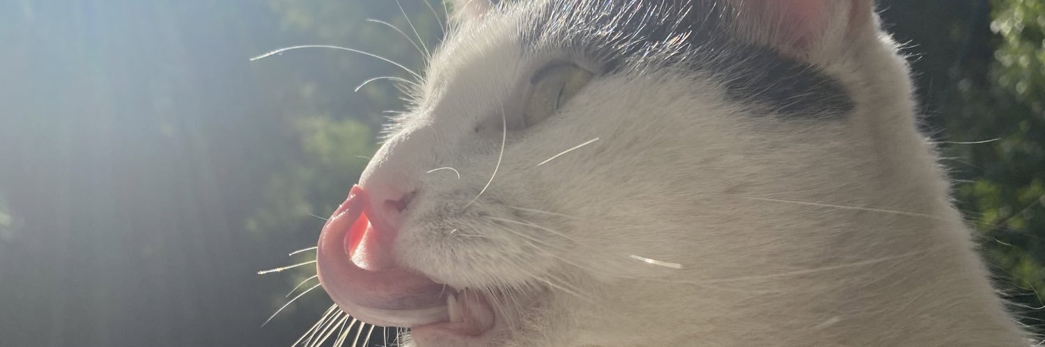 heyy_jesse1's profile banner image