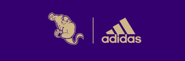 PurplesBaseball Profile Banner