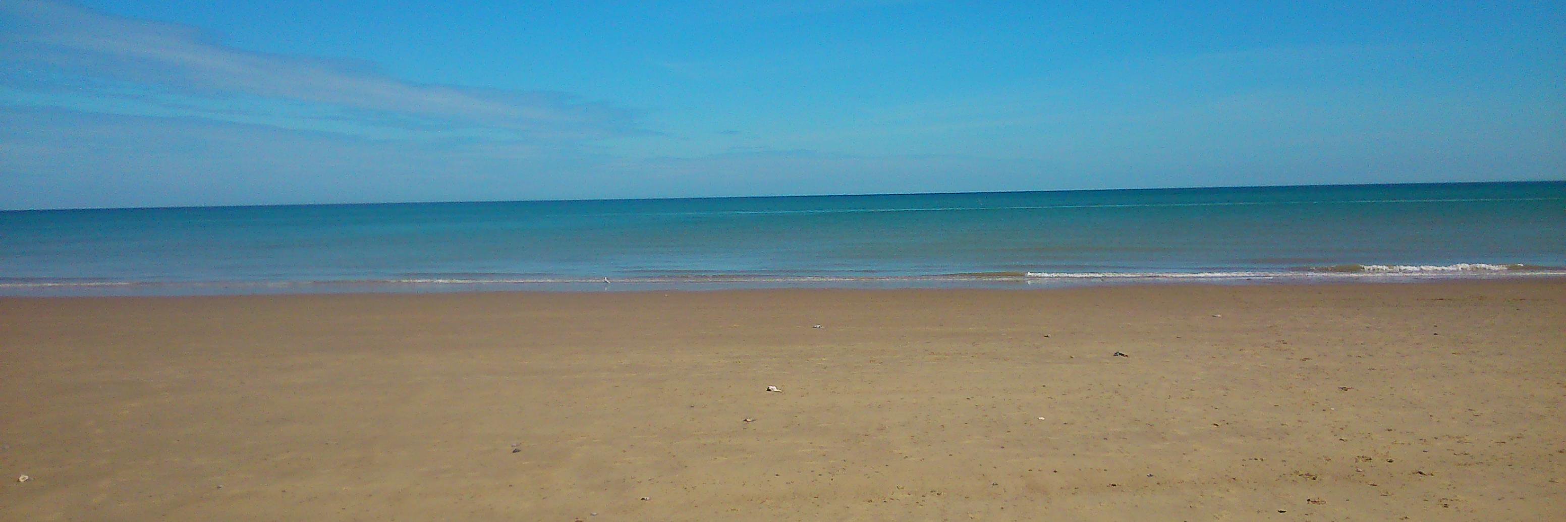 richard prentice banner