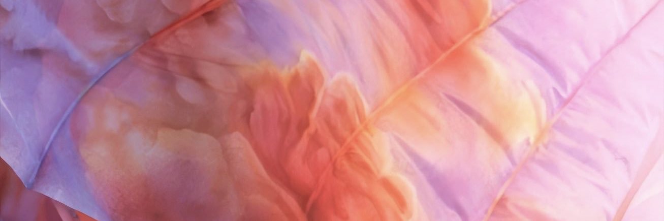 carpenterbagel's profile banner image