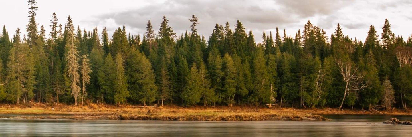 wluke02's profile banner image