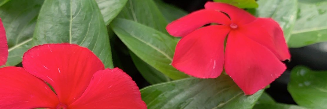 kreedy35's profile banner image