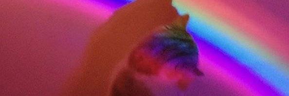 ayyaira's profile banner image