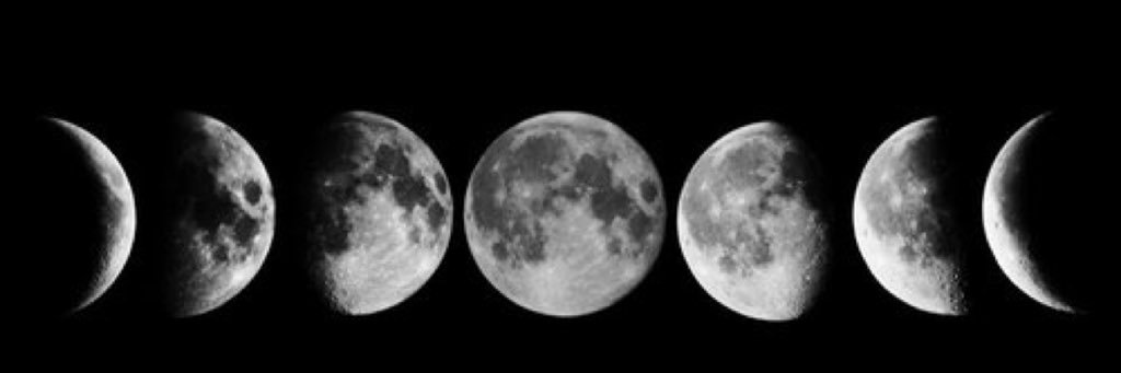 alexisndavidson's profile banner image