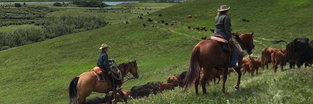 Foothills Forage & Grazing Association banner