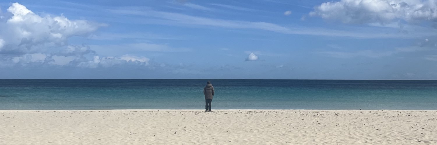 danceraleks's profile banner image