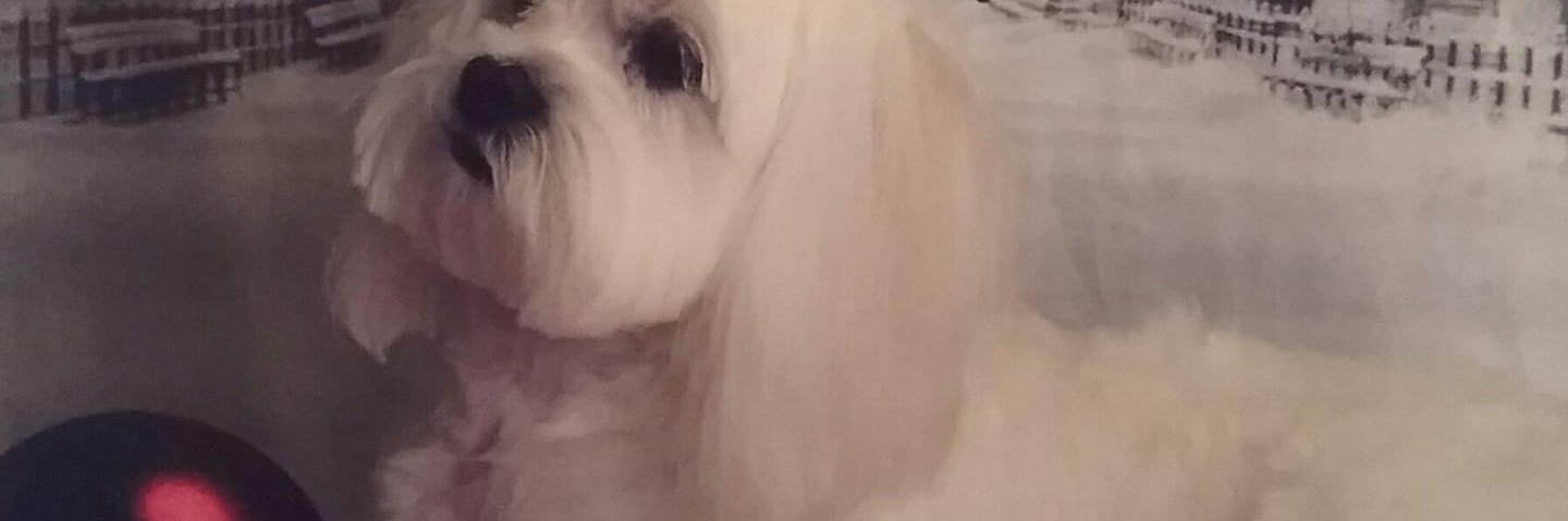 annkeegan2's profile banner image
