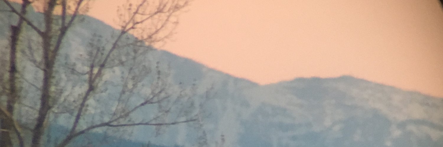 EssentiallyEcon's profile banner image