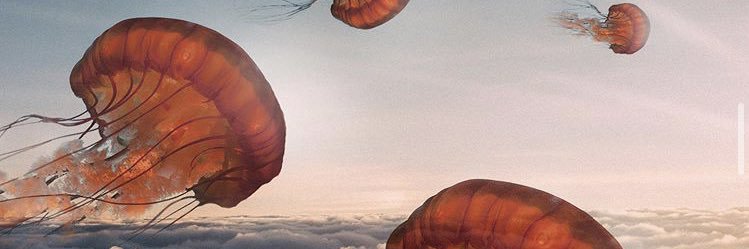 Alexandra Turner banner