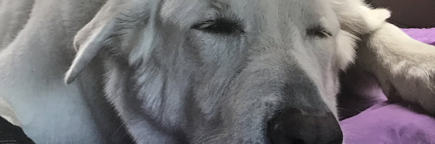 JmanPeters's profile banner image