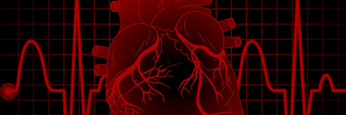 EditorHROJ5's profile banner image
