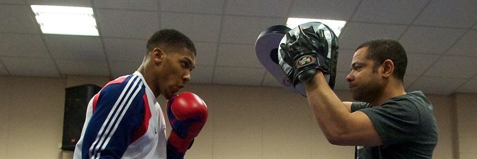 SweetScienceFoundation banner