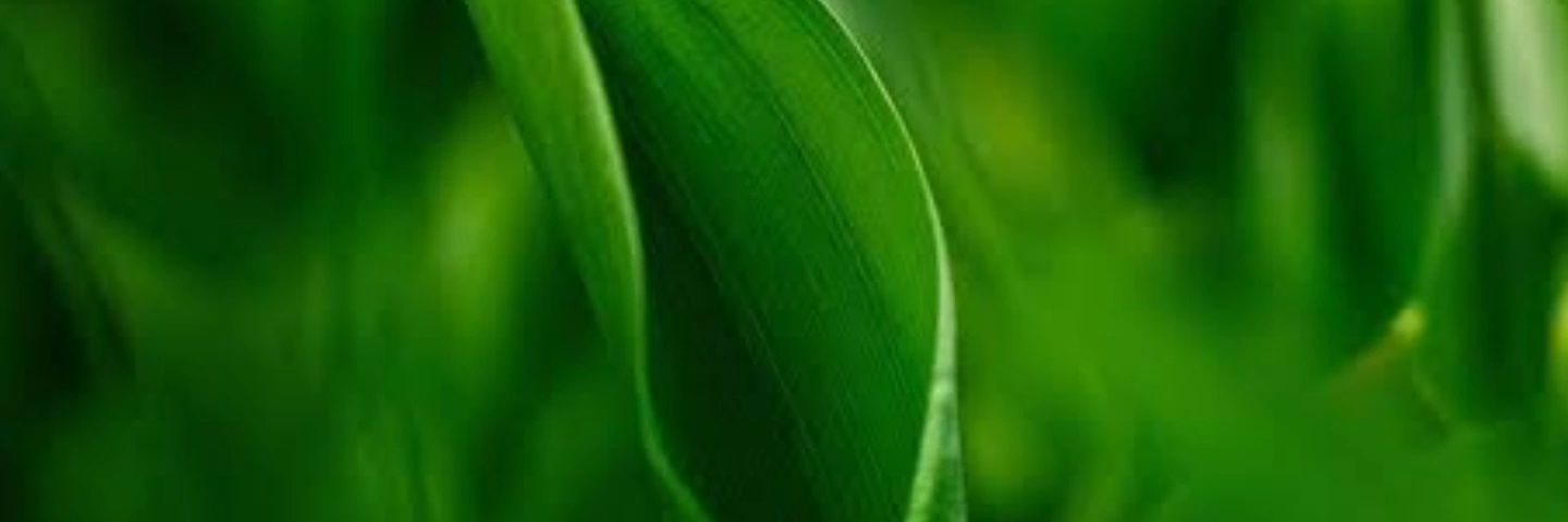 ke_bnb's profile banner image