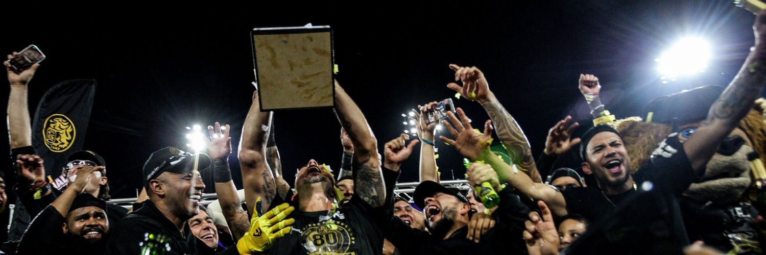 Wilmer Roberto A.I banner