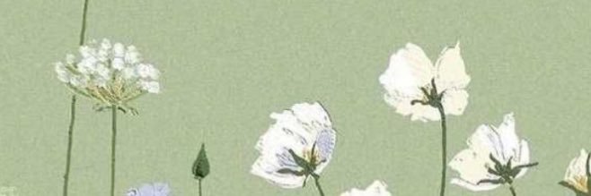 wtwcwastoolong's profile banner image