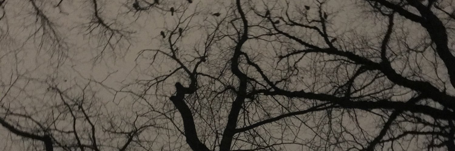 baharhsh's profile banner image