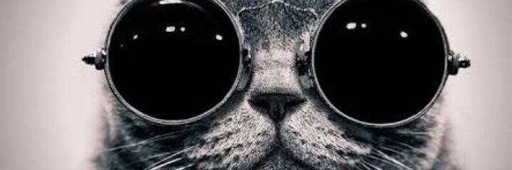 padocarol's profile banner image