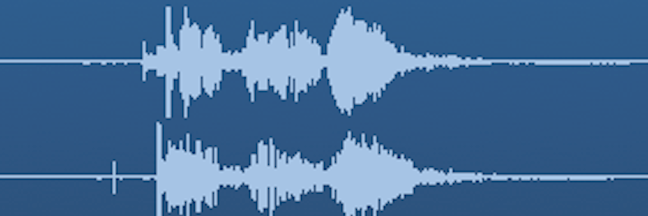 Pranesh banner