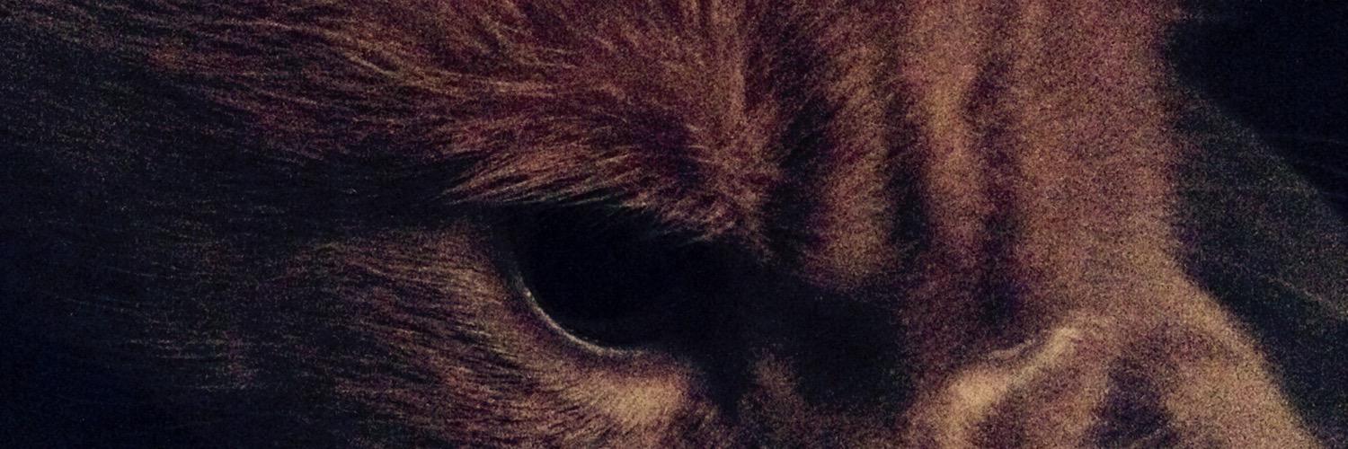 NeonAngel8096's profile banner image
