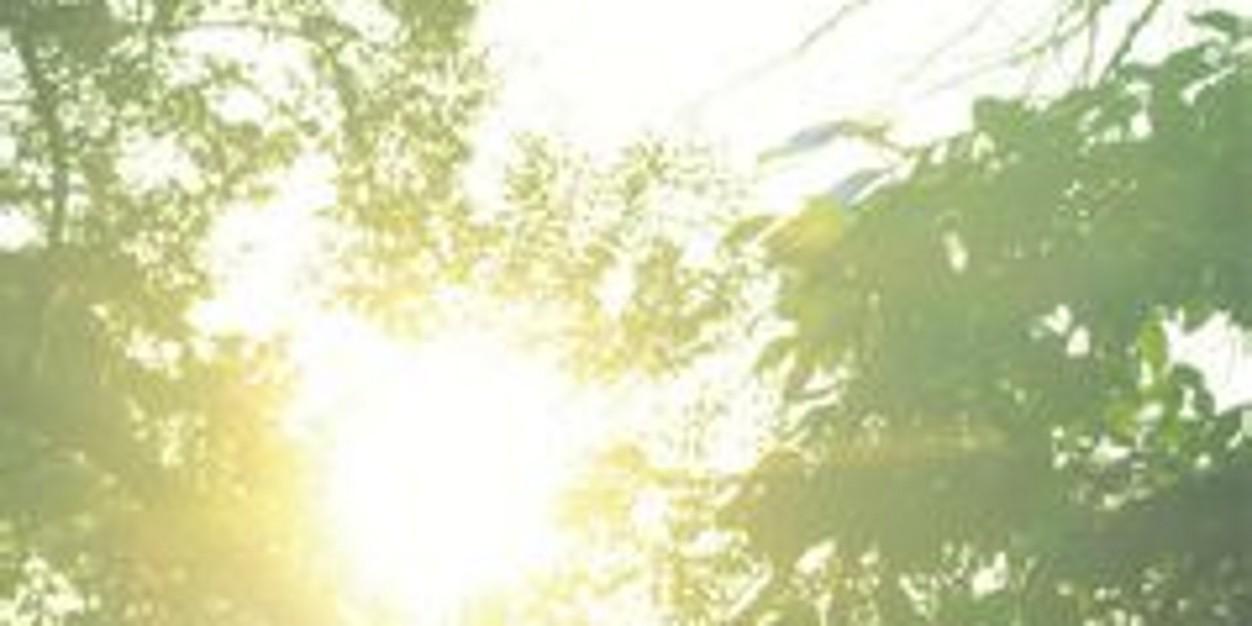 Ueno_coco's profile banner image