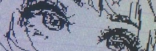 CedanioMay's profile banner image