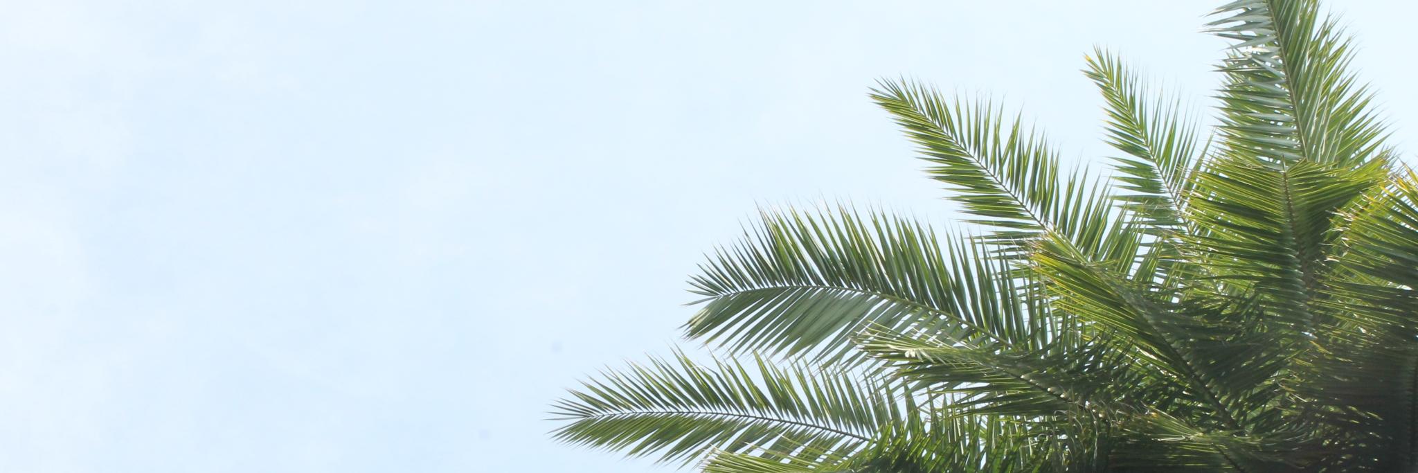 nekrasivonelook's profile banner image