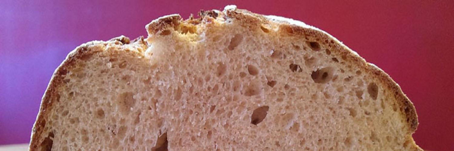 ButterbrotAnja's profile banner image