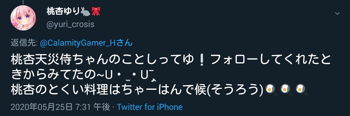 天災ゲーマーH banner