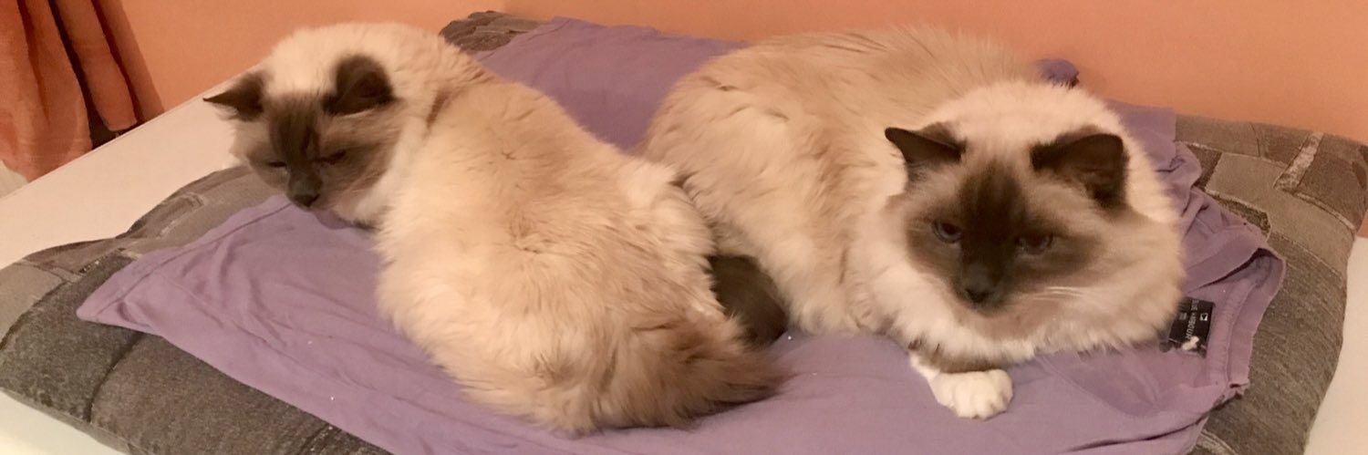 Angela Rawlins banner