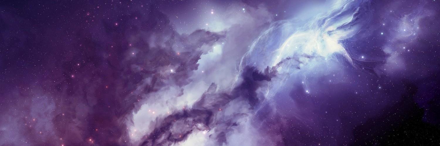 ShalayneSwyny's profile banner image